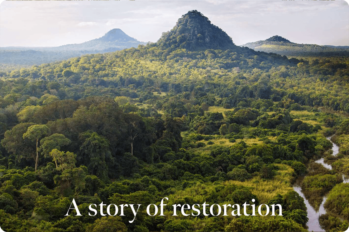 A story of recovery